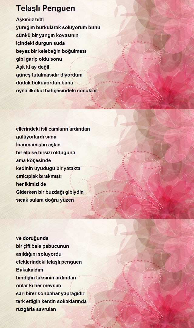 Sunay Akın