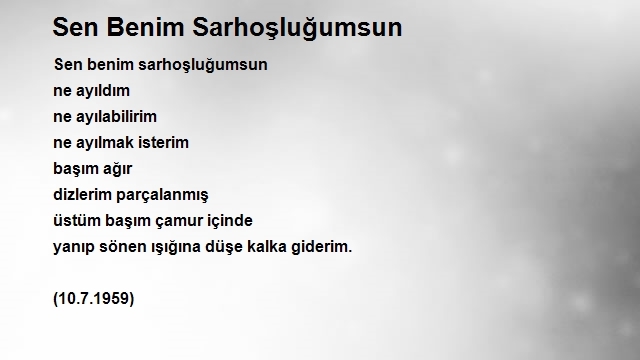 Nazım Hikmet Ran