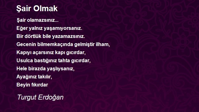 Turgut Erdoğan