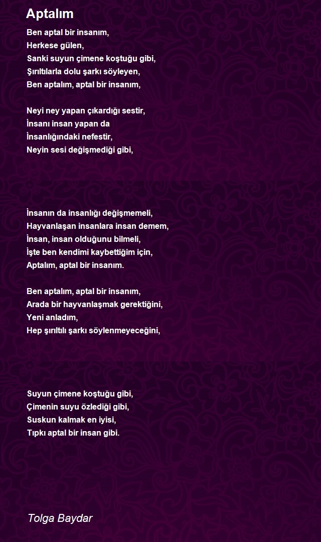 Tolga Baydar