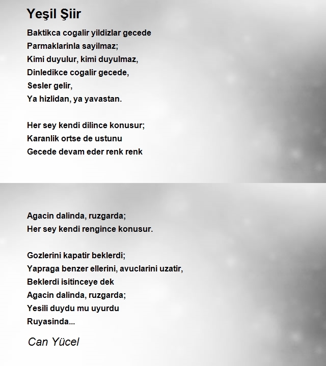 Can Yücel