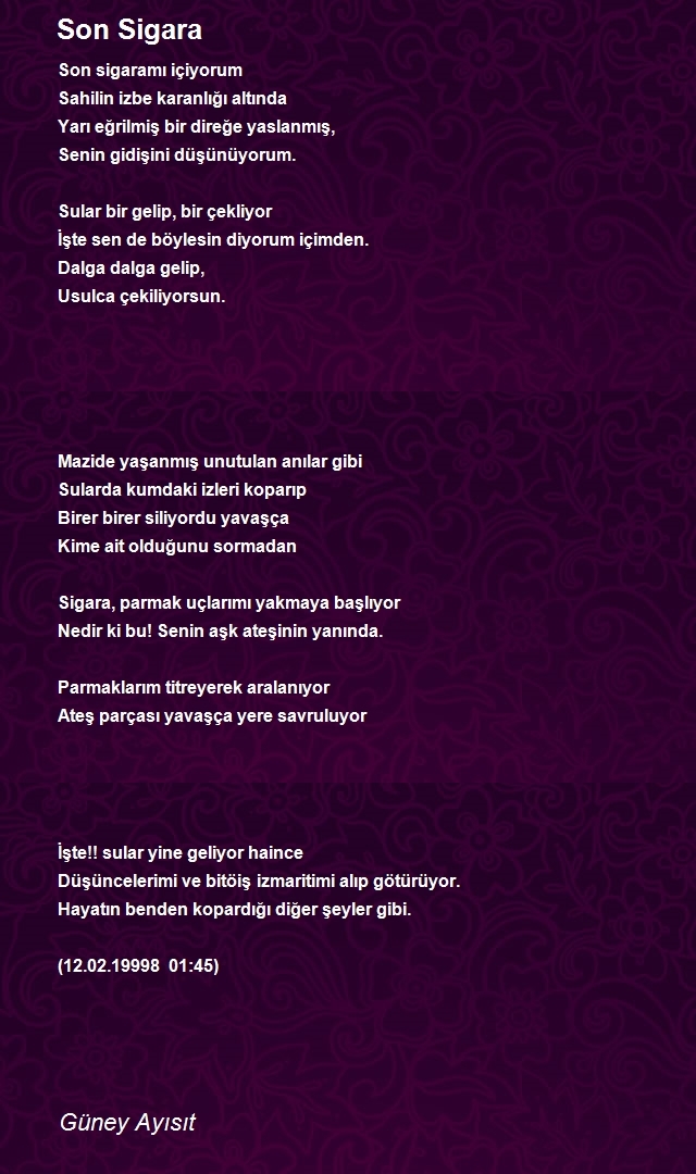 Güney Ayısıt