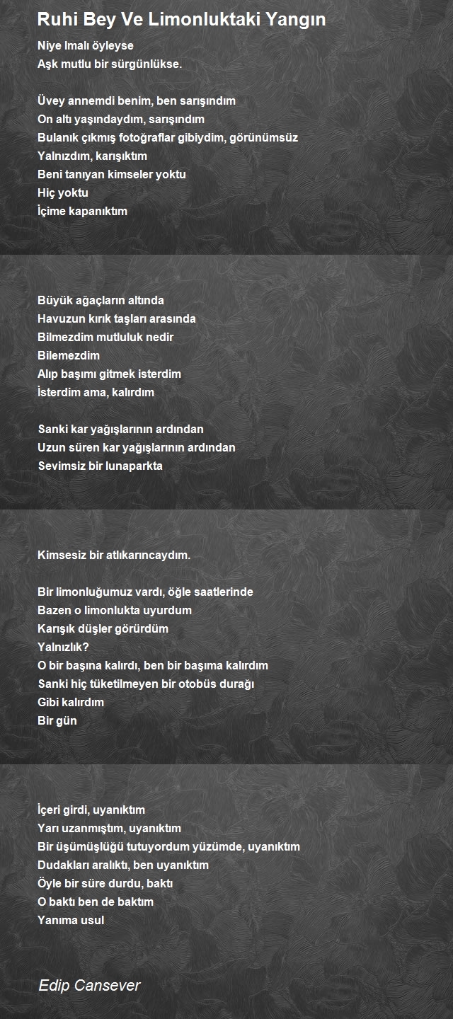 Edip Cansever