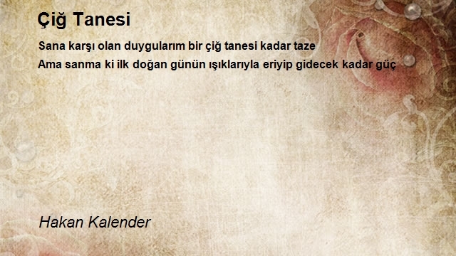 Hakan Kalender