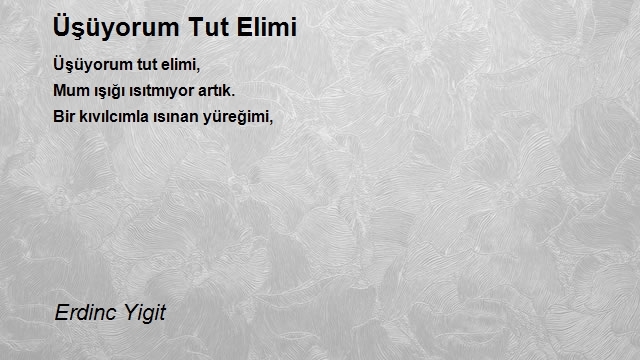 Erdinc Yigit