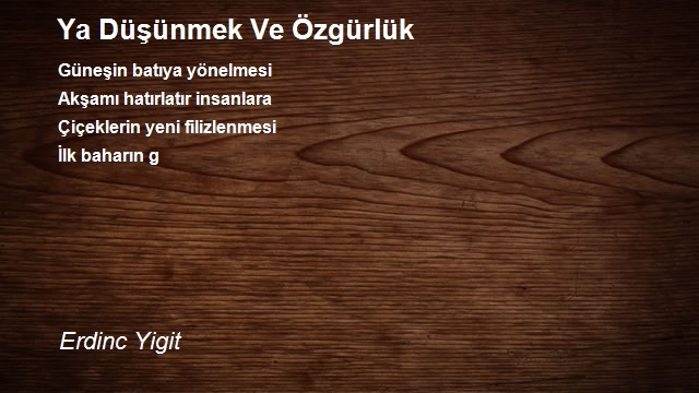 Erdinc Yigit
