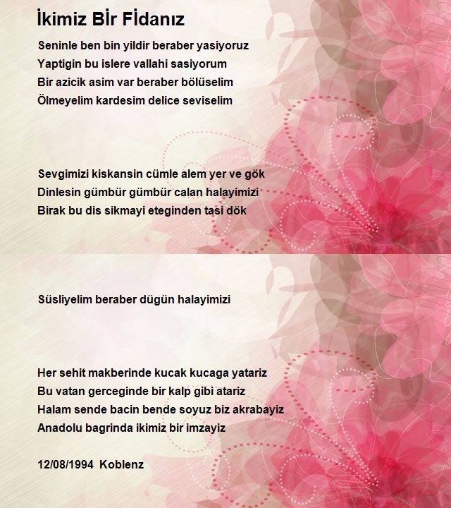 İsmail Safa Ermutlu