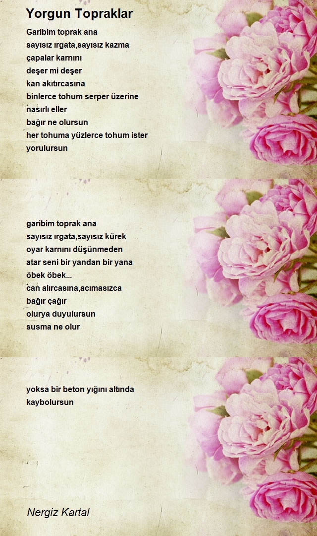 Nergiz Kartal