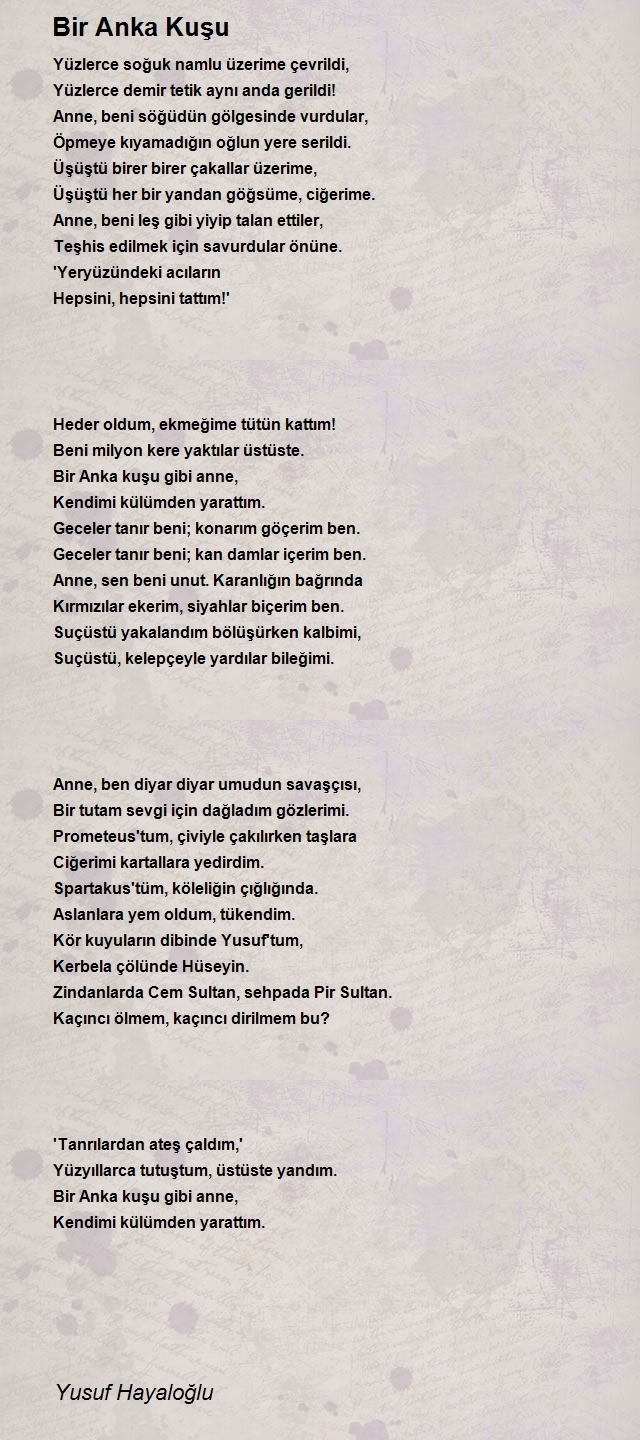 Yusuf Hayaloğlu