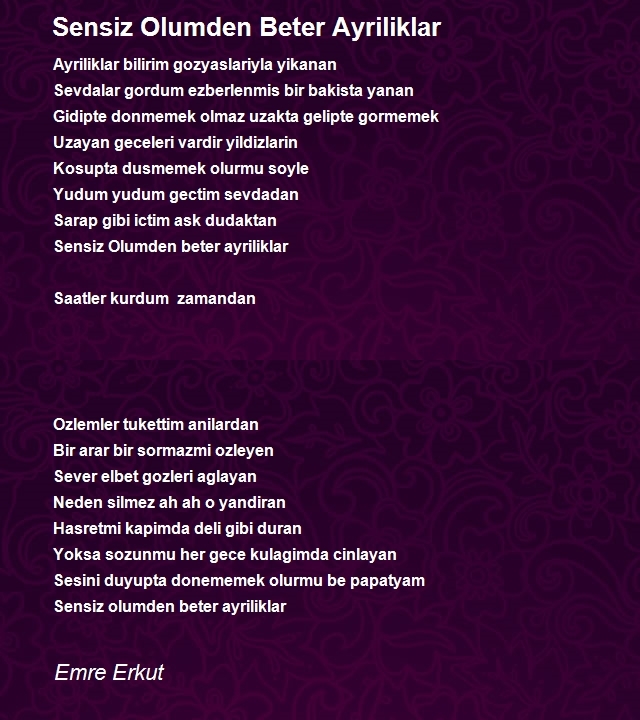 Emre Erkut