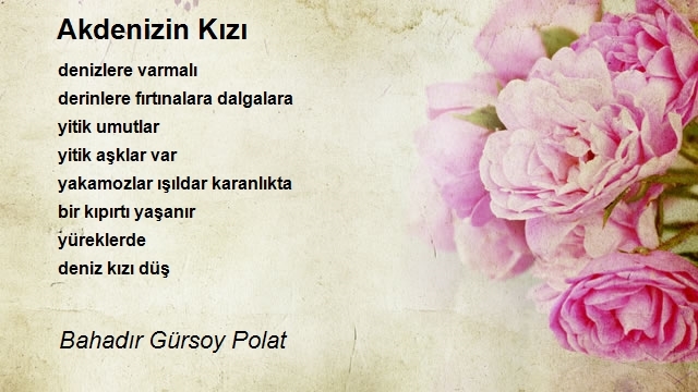Bahadır Gürsoy Polat