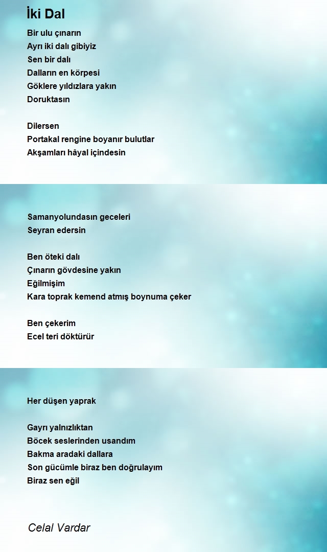 Celal Vardar