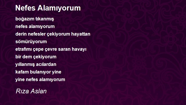 Rıza Aslan