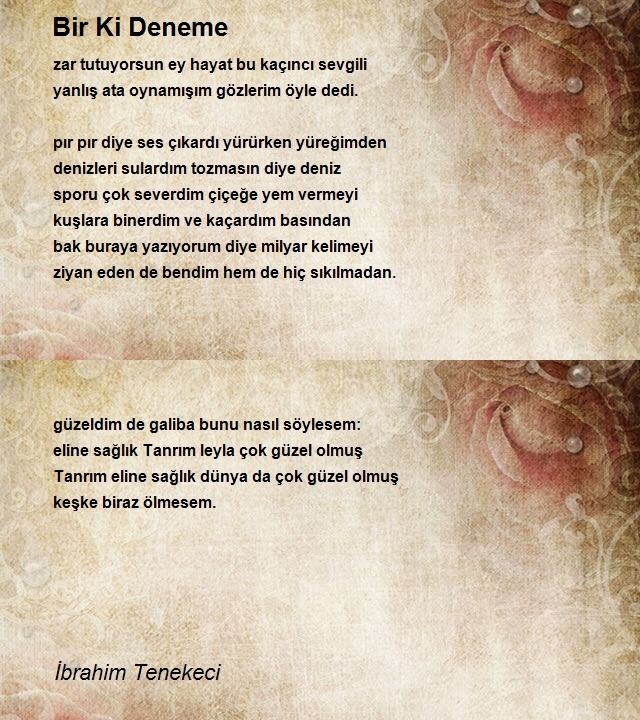 İbrahim Tenekeci