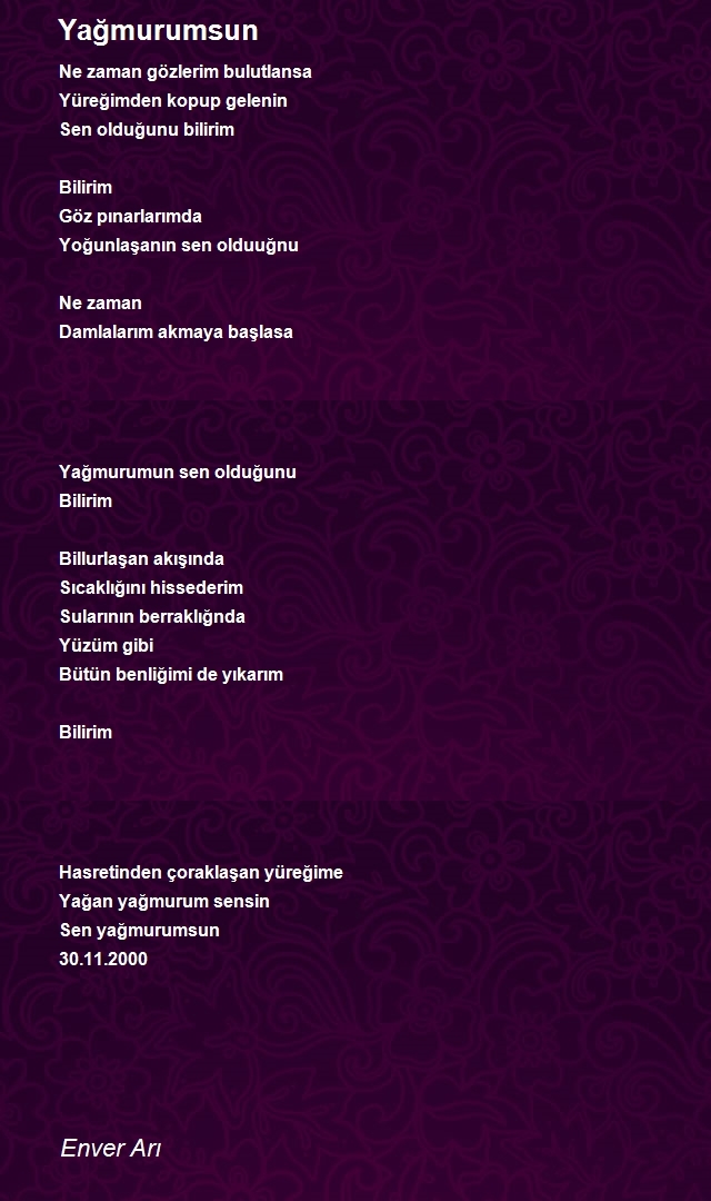 Enver Arı