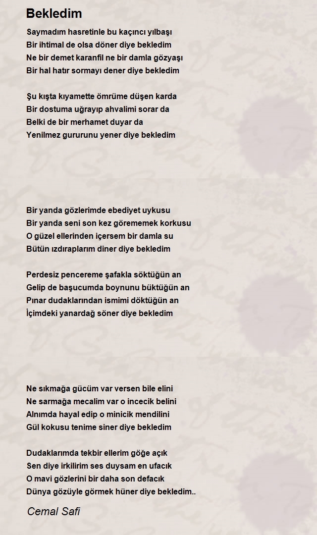 Cemal Safi