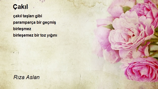 Rıza Aslan