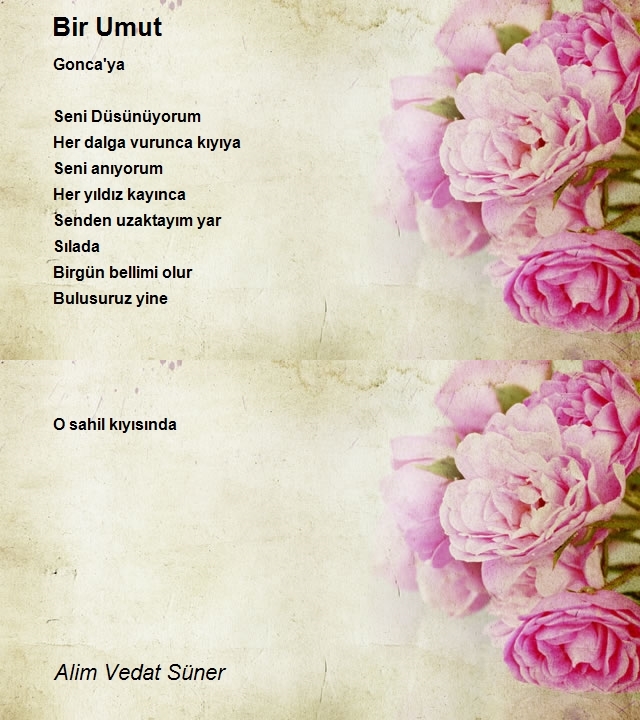 Alim Vedat Süner