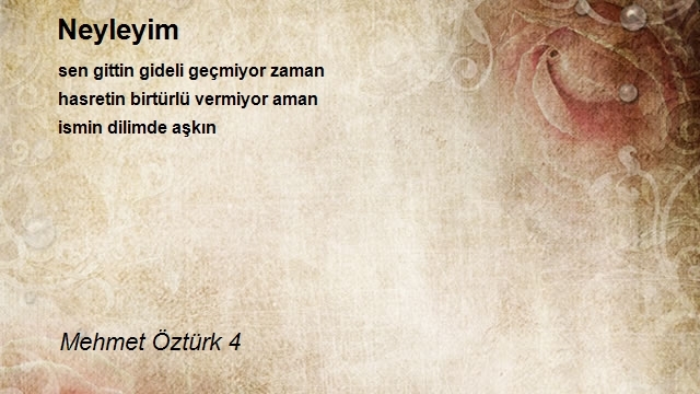 Mehmet Öztürk 4