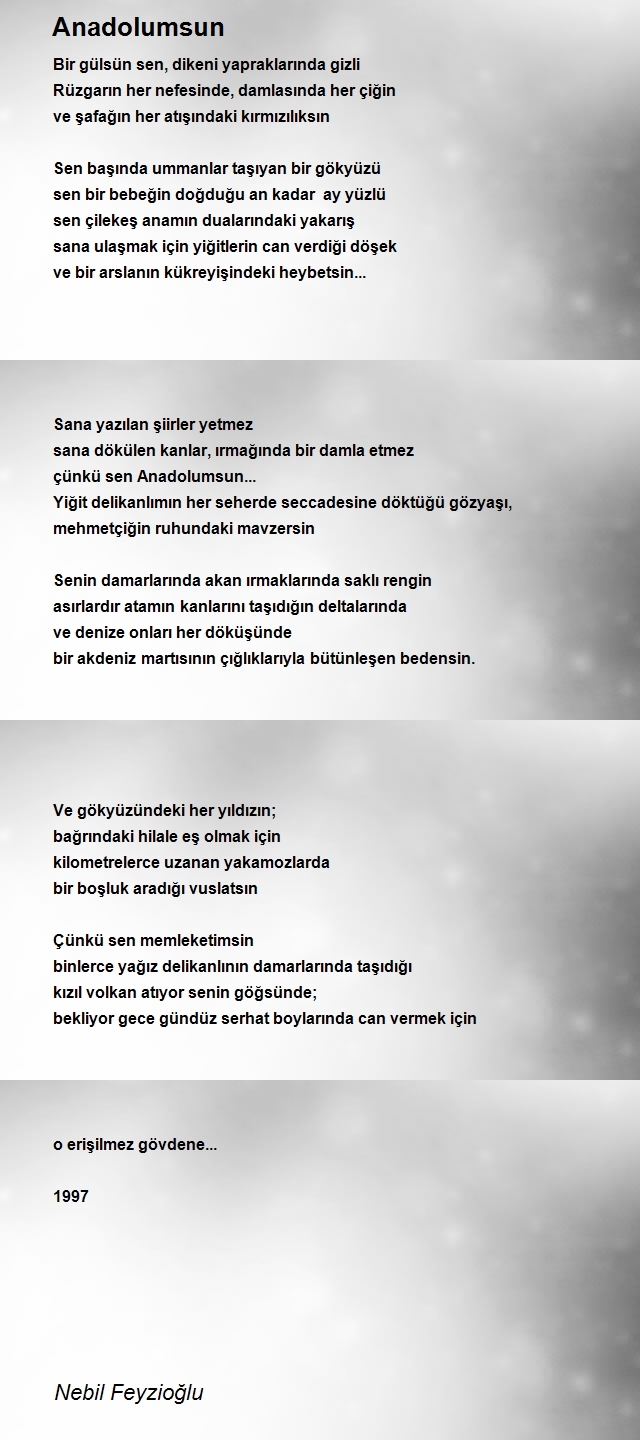 Nebil Feyzioğlu