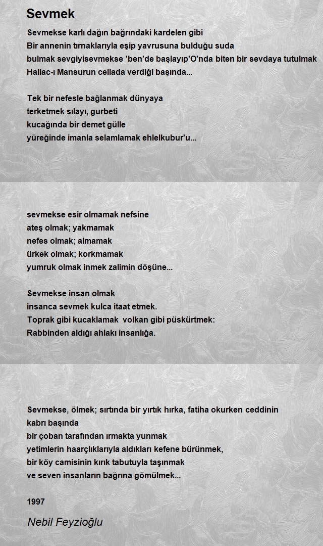 Nebil Feyzioğlu