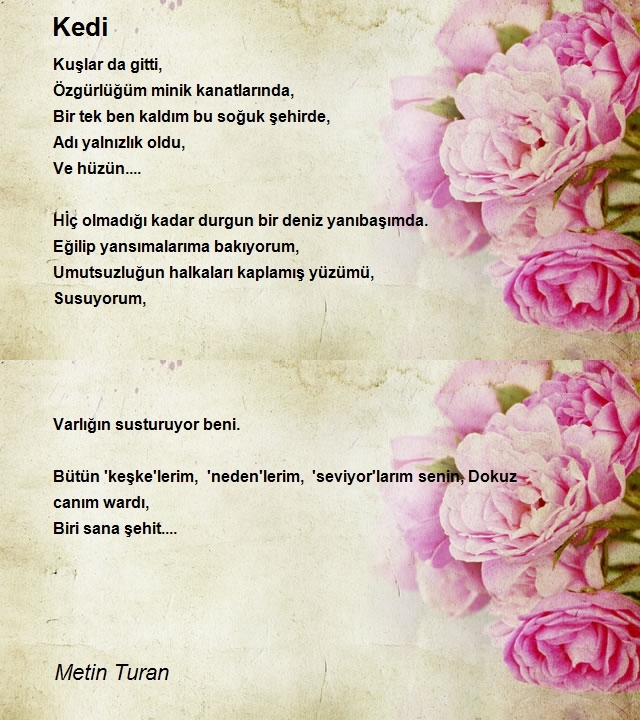 Metin Turan
