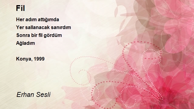 Erhan Sesli