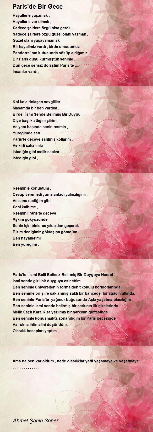 Ahmet Şahin Soner