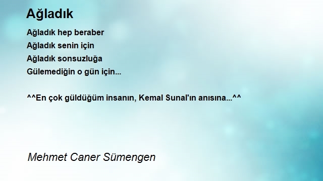 Mehmet Caner Sümengen