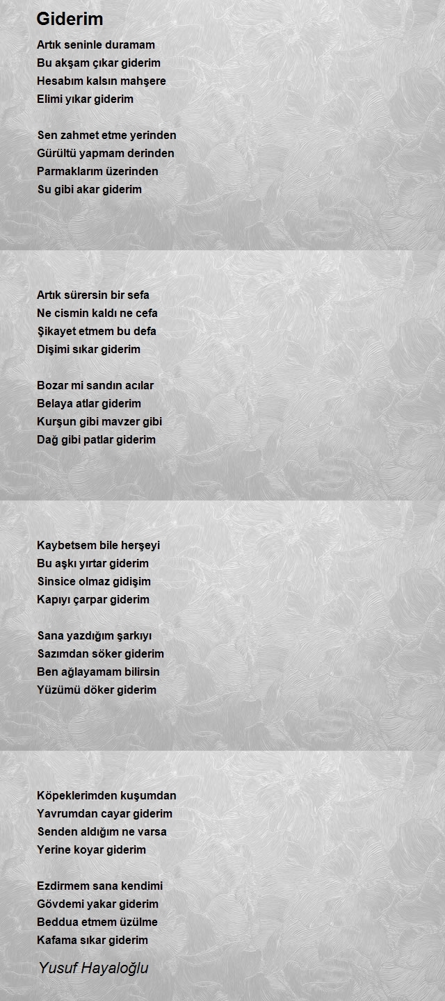 Yusuf Hayaloğlu
