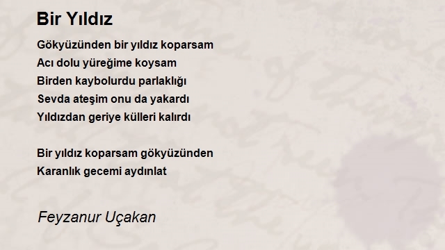 Feyzanur Uçakan