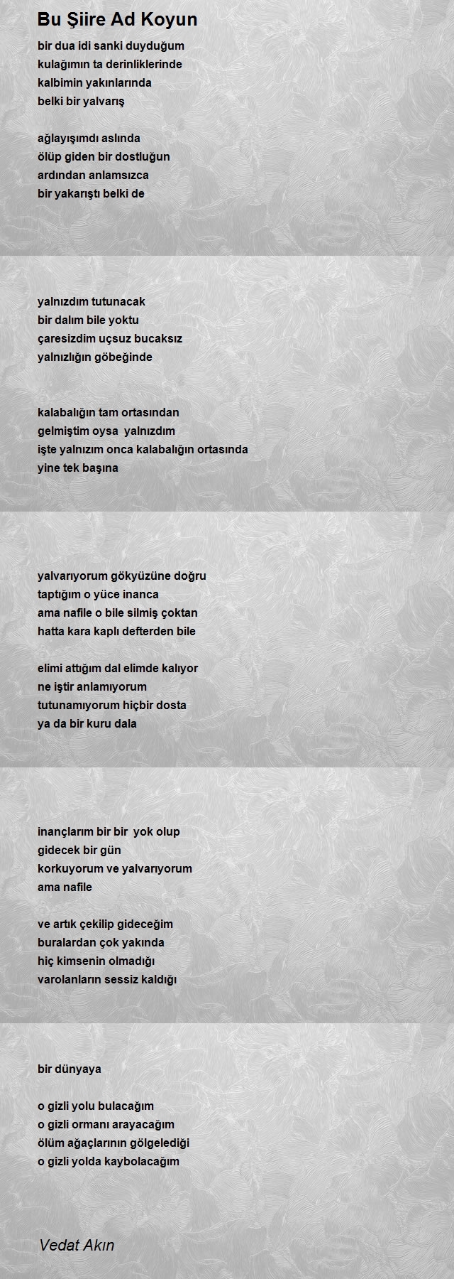 Vedat Akın