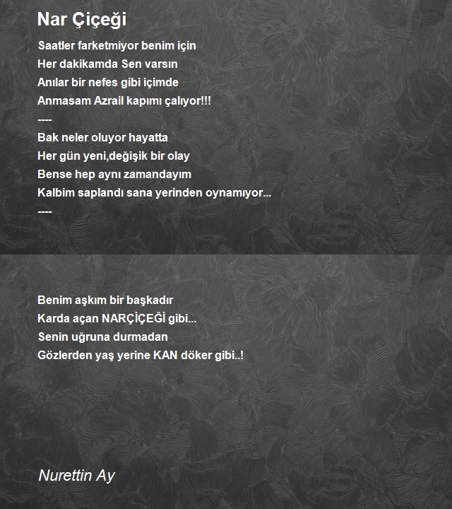 Nurettin Ay