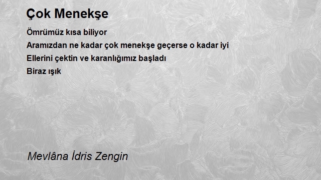 Mevlâna İdris Zengin