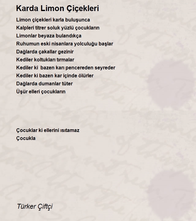 Türker Çiftçi