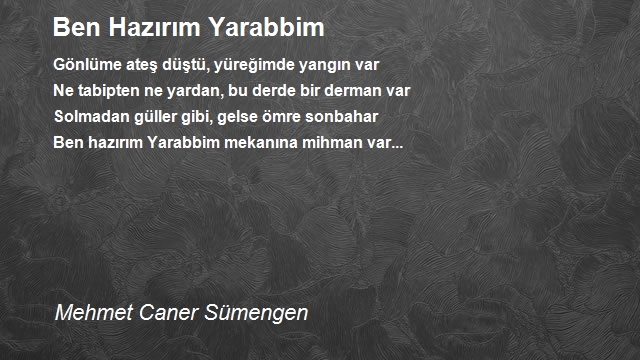 Mehmet Caner Sümengen