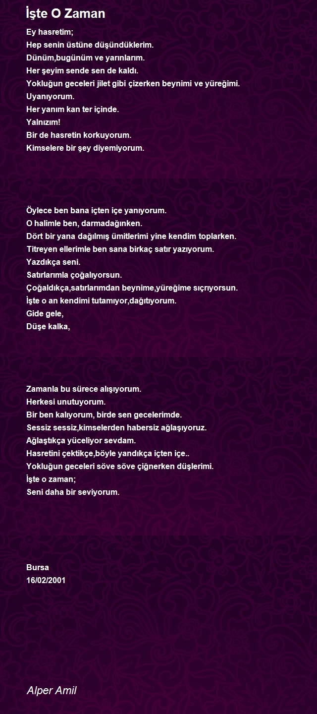 Alper Amil