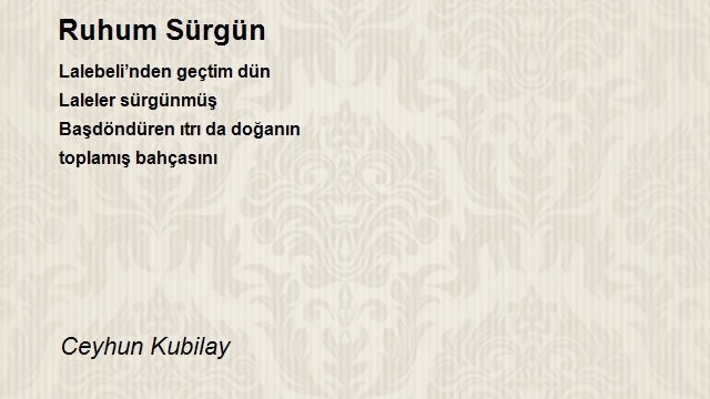 Ceyhun Kubilay