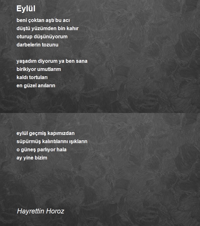 Hayrettin Horoz