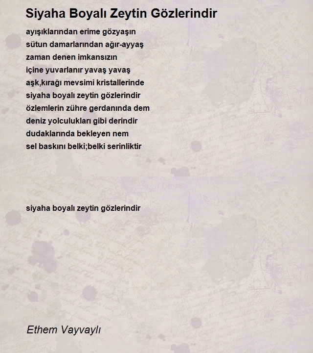 Ethem Vayvaylı