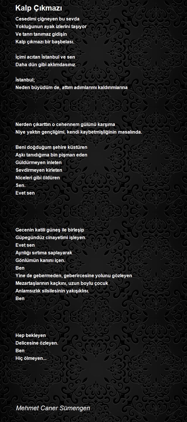 Mehmet Caner Sümengen
