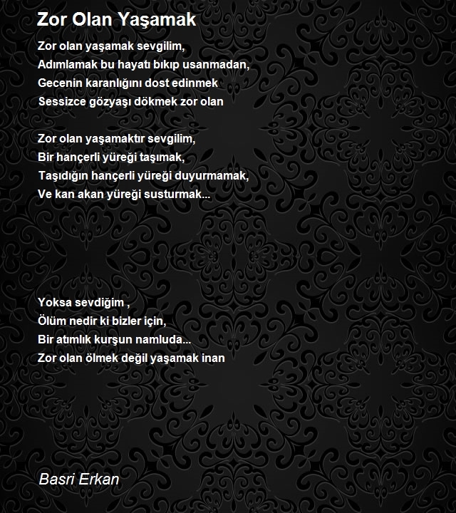 Basri Erkan