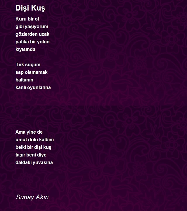 Sunay Akın
