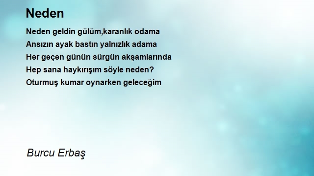 Burcu Erbaş
