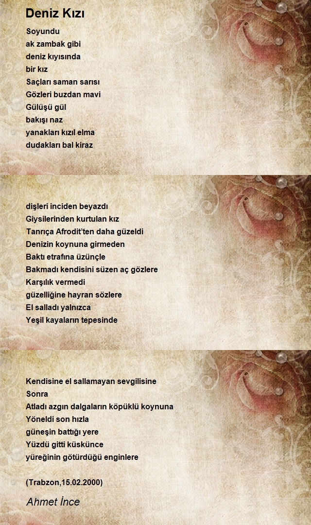 Ahmet İnce