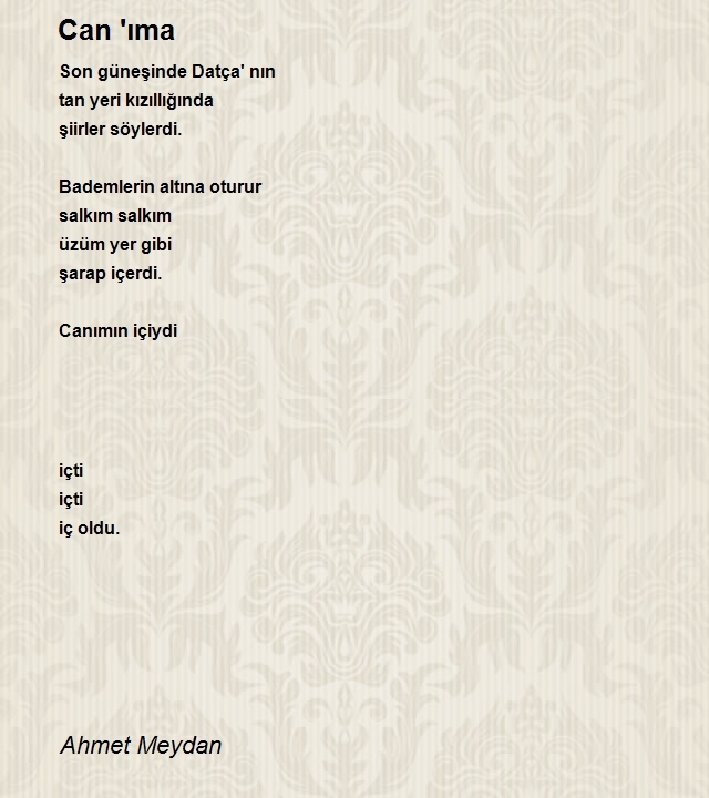 Ahmet Meydan