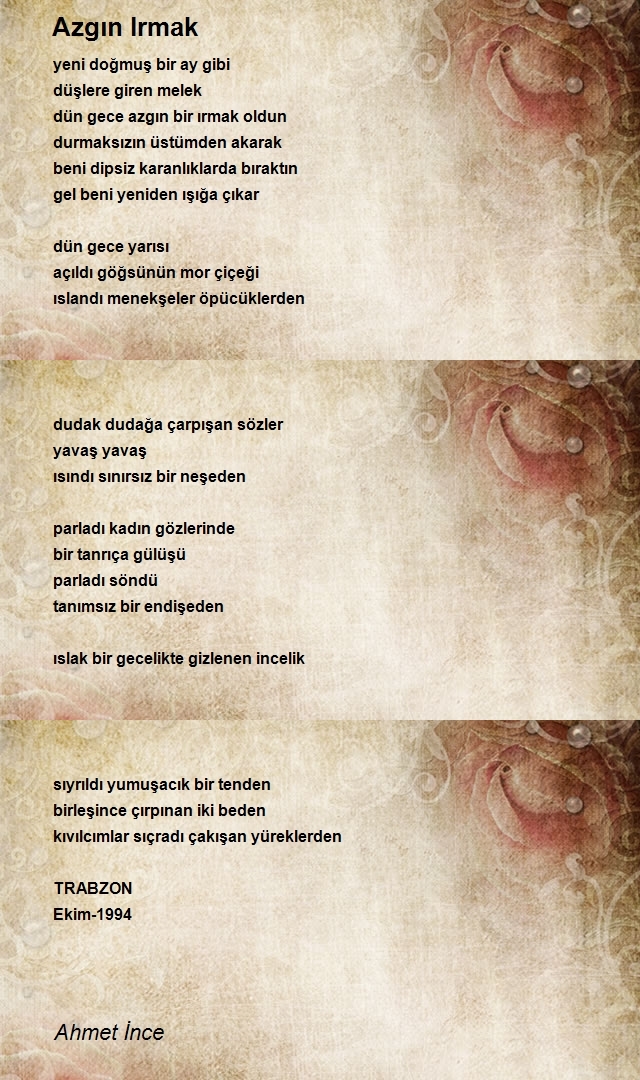 Ahmet İnce