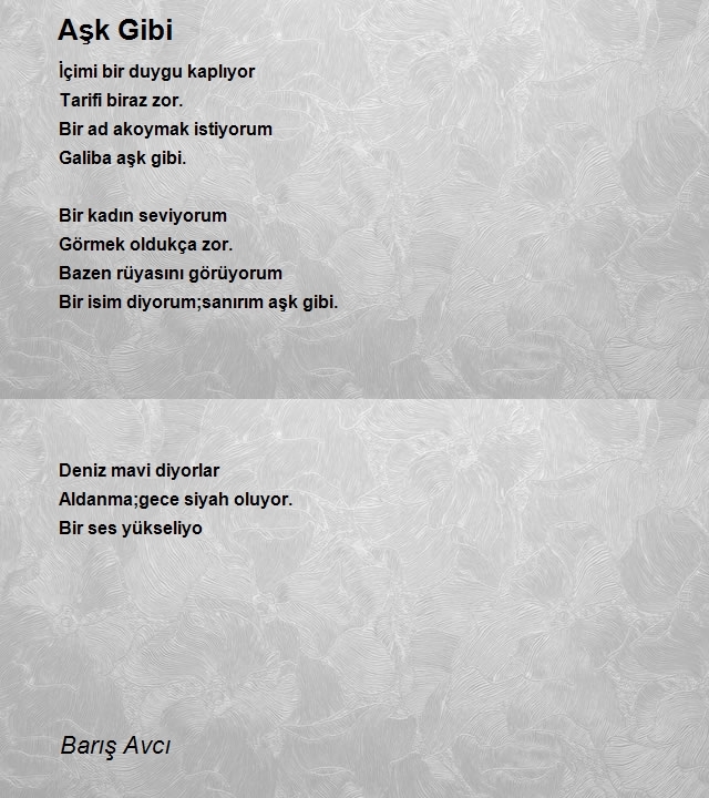 Barış Avcı