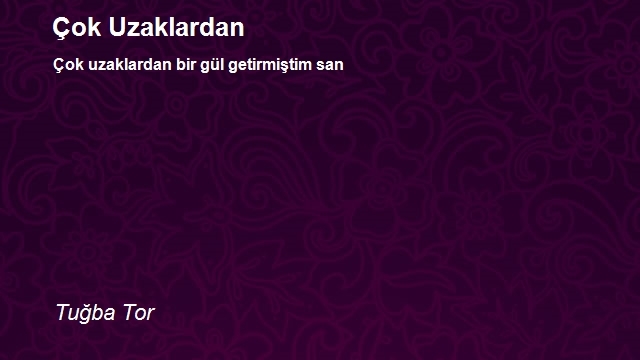 Tuğba Tor