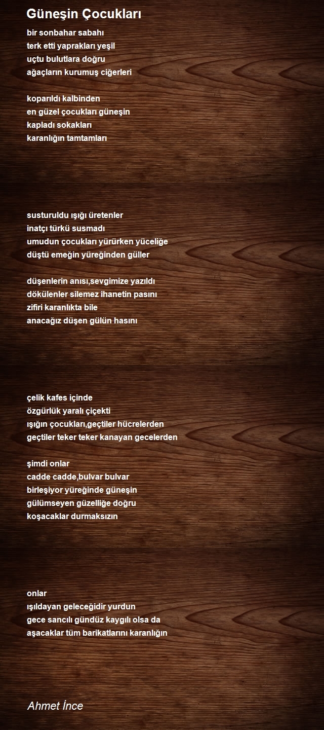 Ahmet İnce